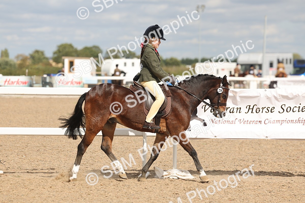 SBM_15873 - Class 310 - First Ridden Pony