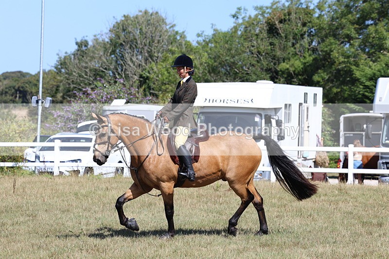 3E7A6267 - Class 6: Working Hunter 1m