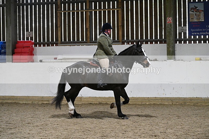WJ7_3933 - Class 17 Ridden Cob