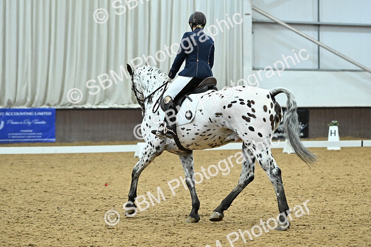 SBM_007508 - Class 81 - Novice 3