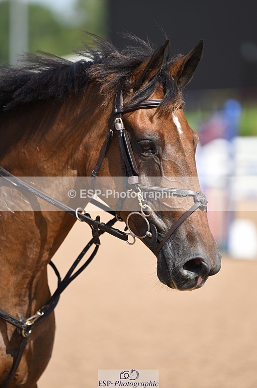 230906A-123630-00260 - Newcomers & 1.10m Open