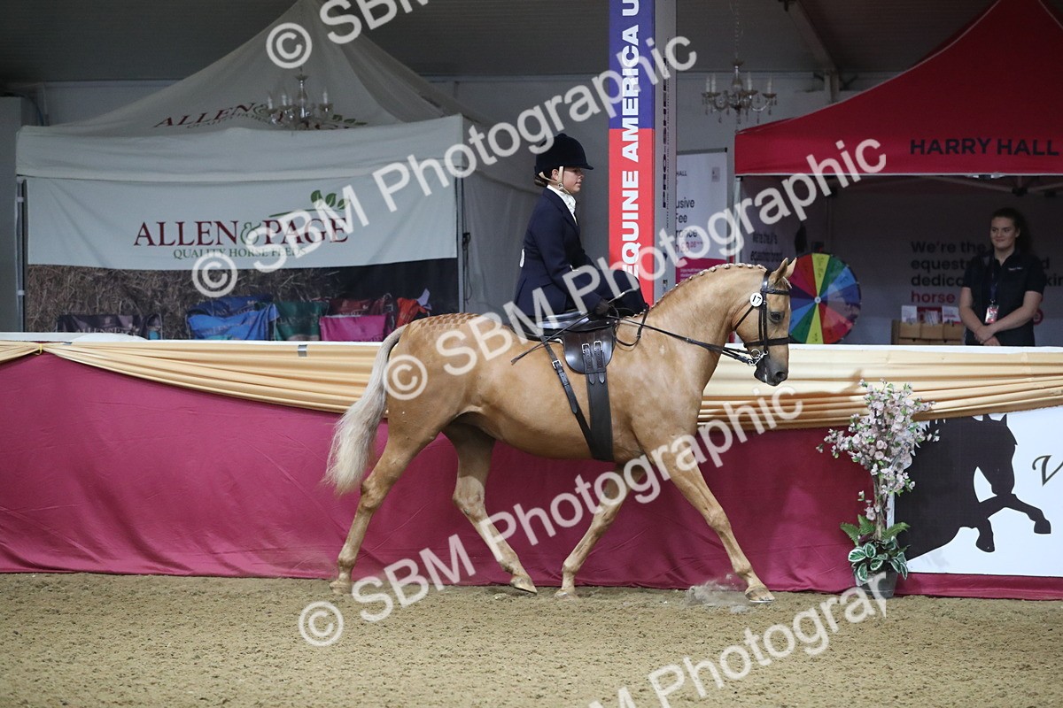 SBM_09262 - Class 101 Equitation (best rider), Junior