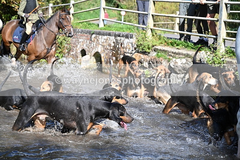 WJ7_5992 - Hounds Water Crossing