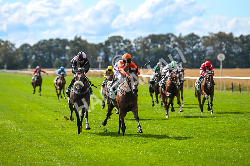 290825-Race 3-Be The Standard-8589 - Race 3