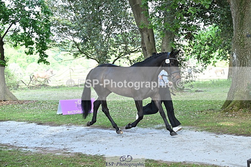 250521A-153220-00578 - B-316-Jasmine.Holmes-ARENT.I.LUCKY