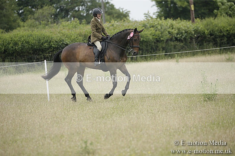 B230619-0812 - Bourne Valley Riding Club Summer Show 23/06/19