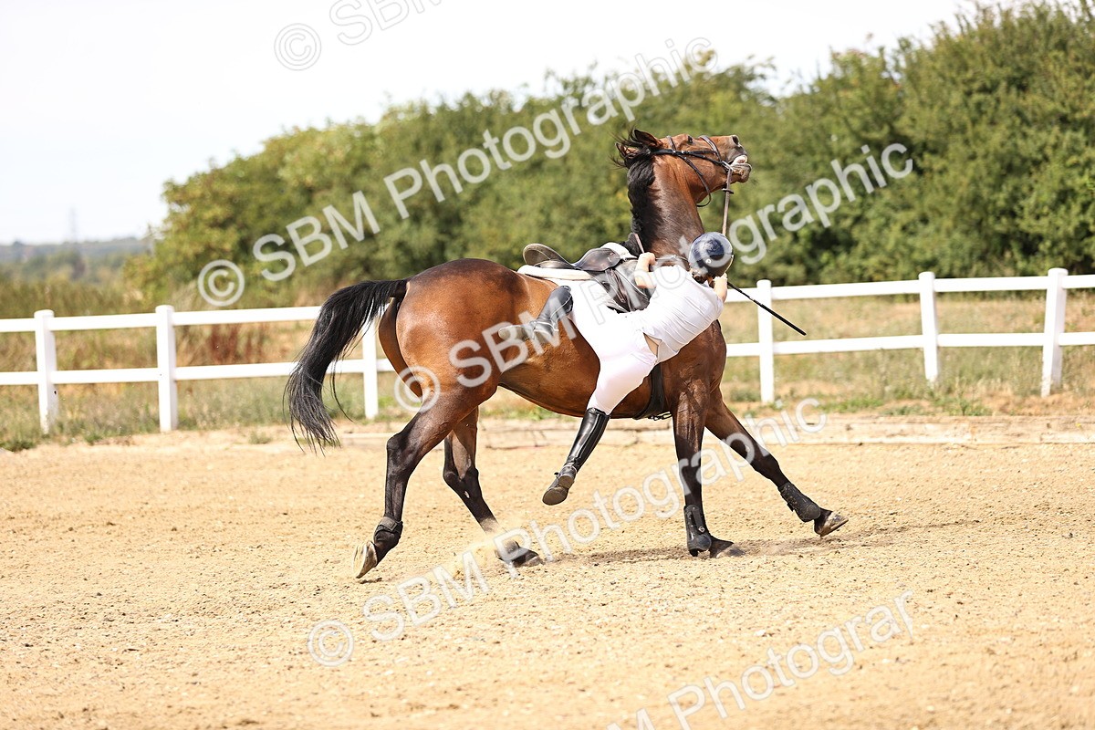 SBM_001145 - Class 4 - Senior Discovery - 1.00m Open