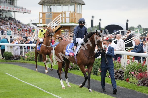 yr24072021r3-3 - Race 3 3.15pm Sky Bet York Stakes