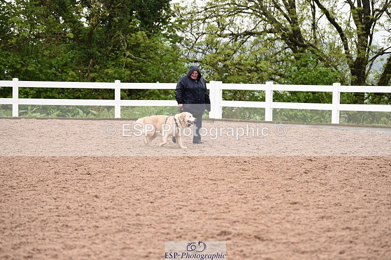 240518A-133722-01321 - Cls 9 Best in Show