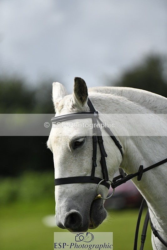 230826-135326-19921 - PC 70 1pm to 2pm