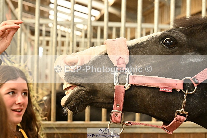 250821B-162401-00507 - Stable Shots and Group Photo