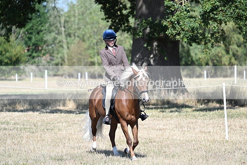 WJ7_3991 - Class 9 Mountain & Moorland Ridden