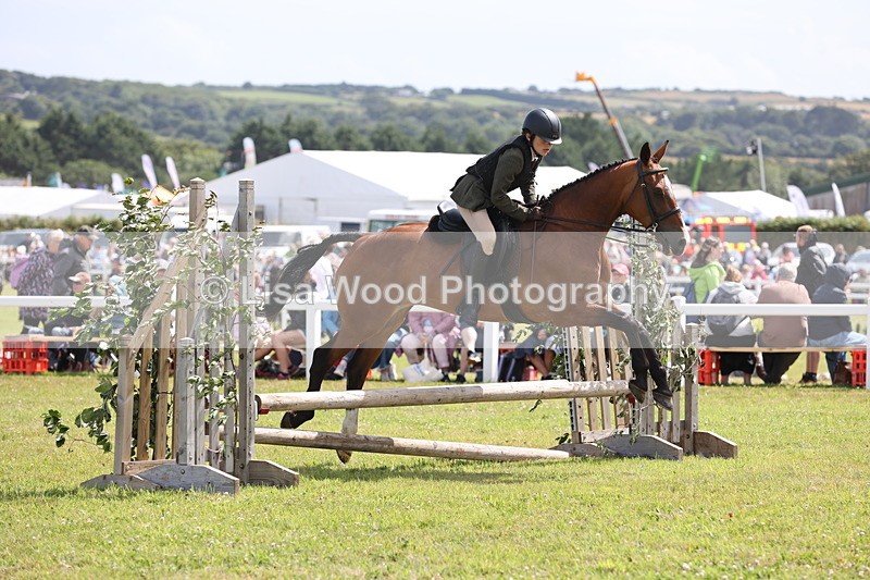 JPP_2071 - Class 19: Working Hunter 60cm