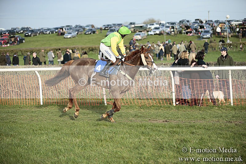 PtP 230319 526 - VWH Hunt Siddington Point-to-Point Racing 23/03/19