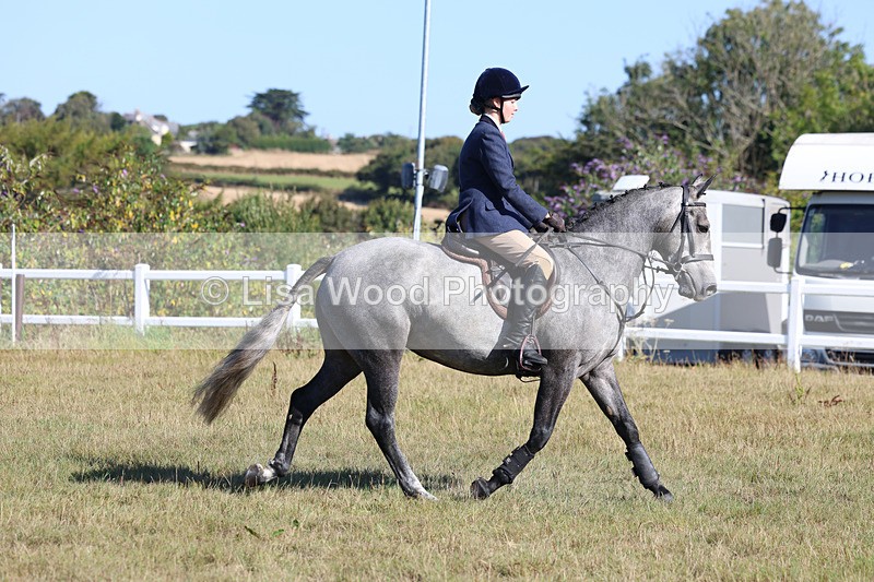 3E7A5466 - Class 3: Working Hunter 70cm