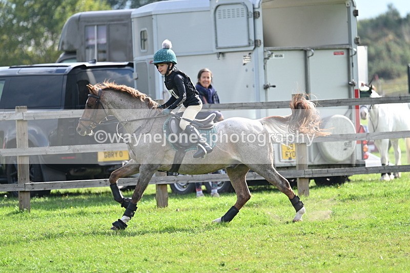 WJ7_4992 - 60cm Time 11:11 to 11:19