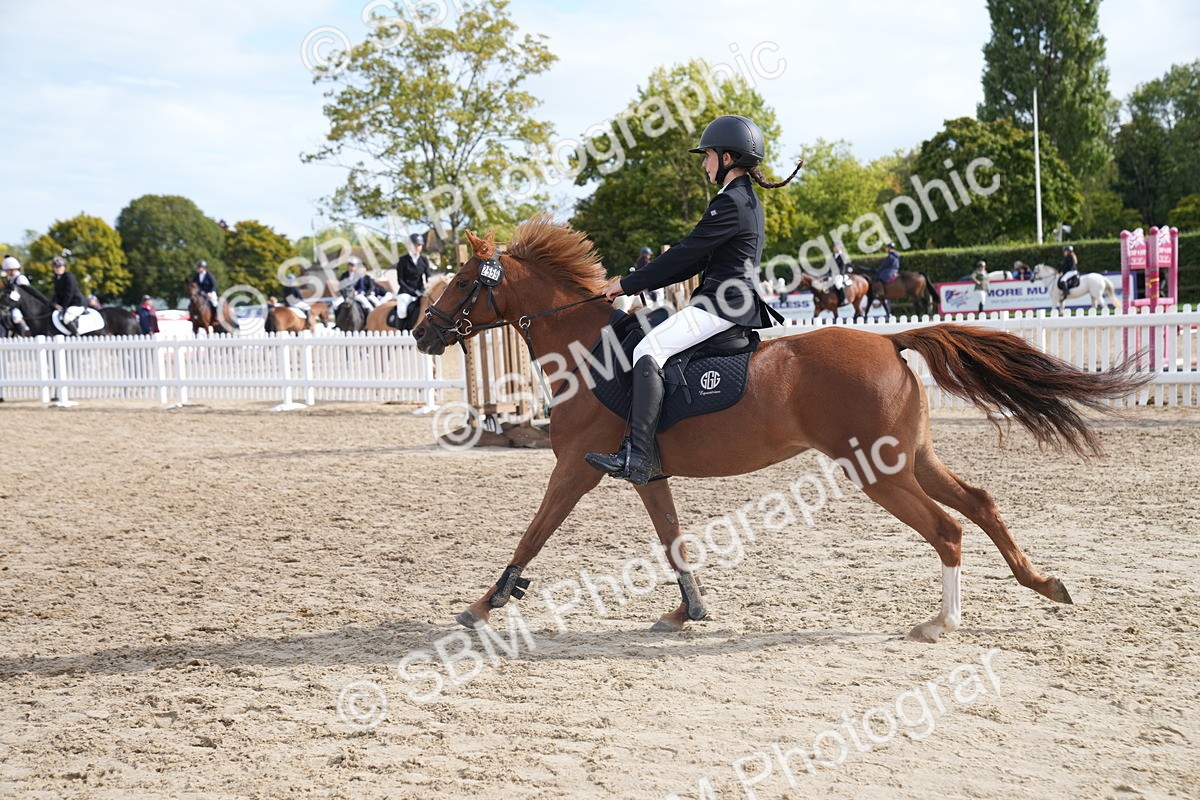 SBM_02448 - J55 - Clear Round 60cm