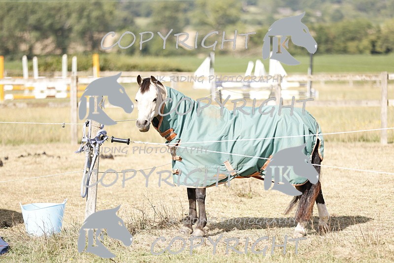 _R6A0793 - GENERAL PHOTOS