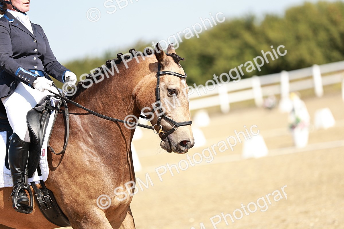 SBM_017335 - Class 10 - N5 Silver 10.43.11.29