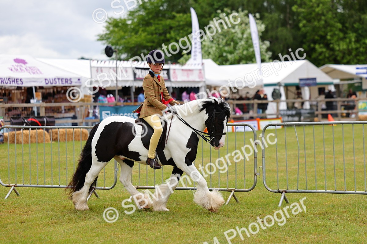 SBM_02603 - Class 9-11 Side Saddle including LIHS Rising Star Ladies Show Horse