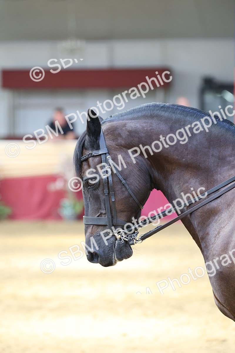 SBM_24126 - Class 905 - Supreme Final - Ridden Veteran