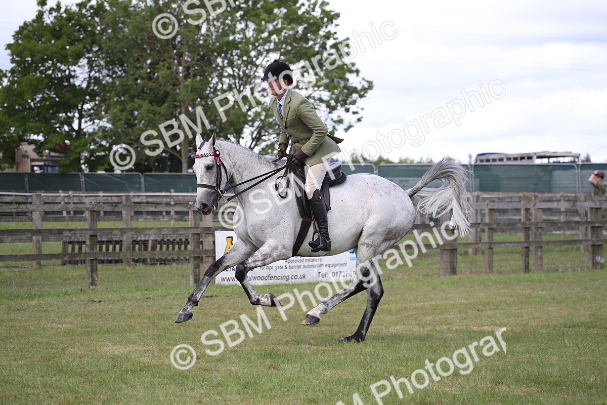 SBM_14208 - Class 113-114 - Retraining of Racehorses Ridden