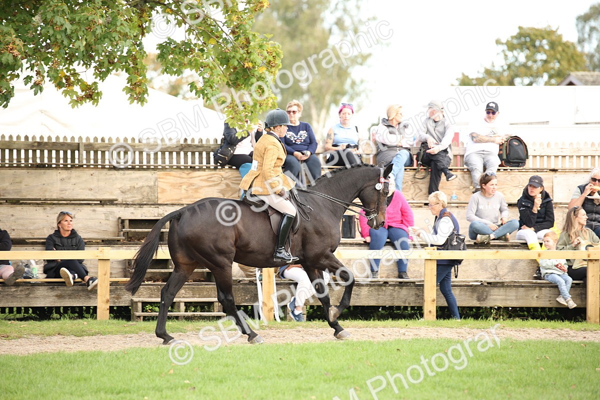 SBM_50231 - S26 - Young Veteran - Ridden