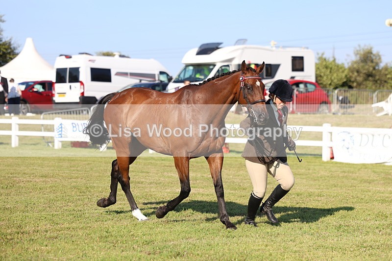 3E7A5161 - Class 1: Rising Star Small Hack/Riding Horses