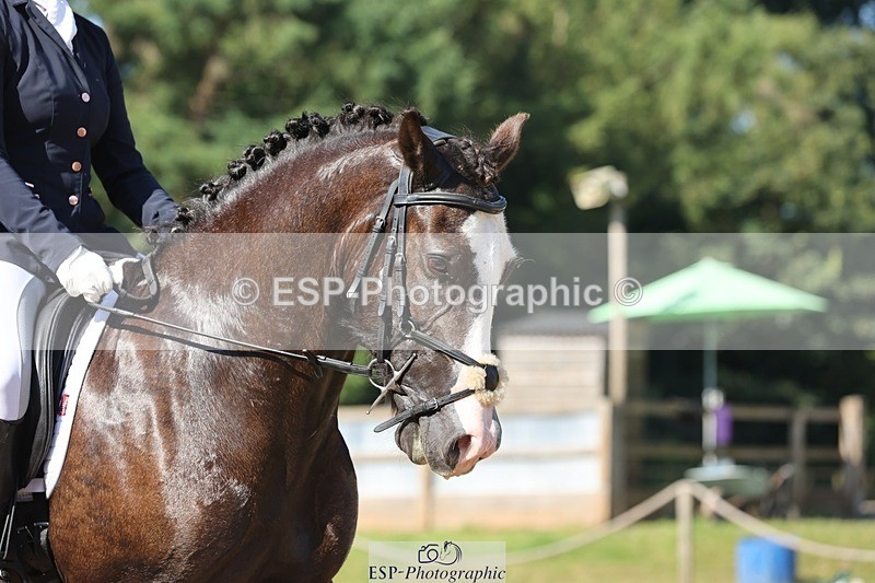 240719-094540-00247 - 262-Leia_Bower-Horeb_Llew