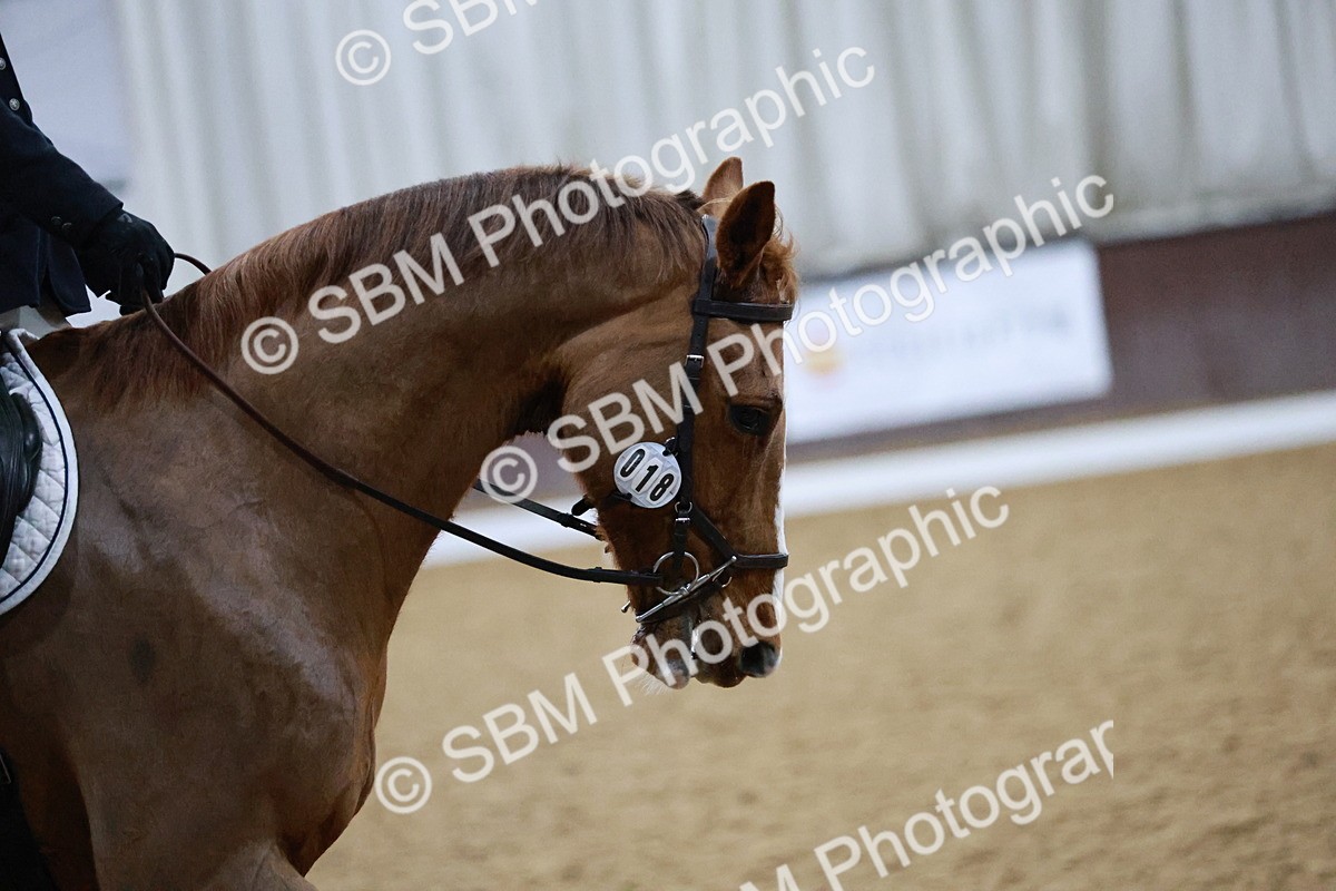 SBM_000596 - Class 9-10 - Elementary 1-Elementary 2