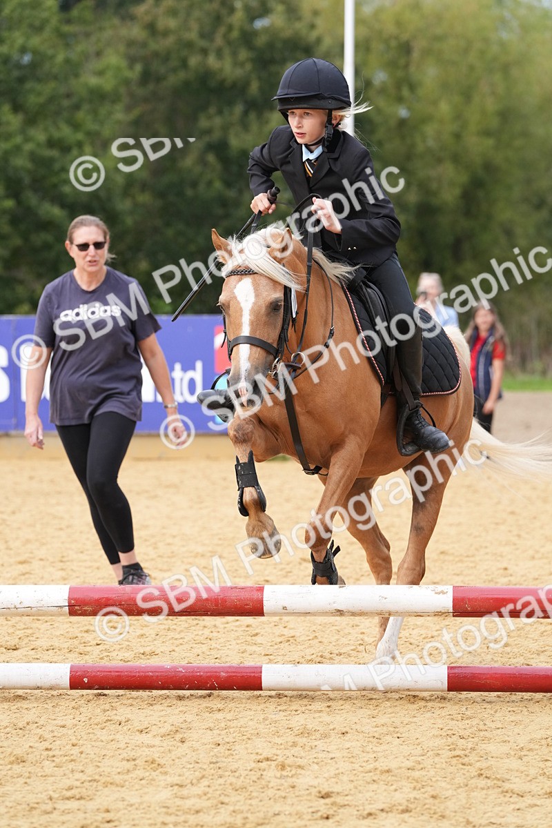 SBM_70619 - J3 - Mini Tour Junior Pony 40cm Championship
