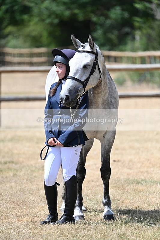 WJ7_2018 - Class 4a Prettiest Mare 14.2hh and over hand