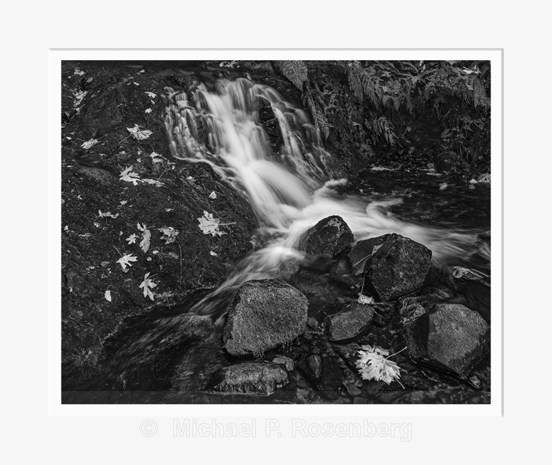Falen Leaves and Wet Rocks, (2014/D01161) - CALIFORNIA, OREGON, AND WASHINGTON STATES