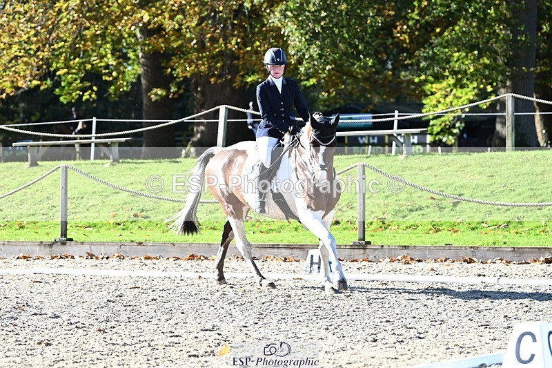 231110-114718-00541 - Cls 3 Novice 22