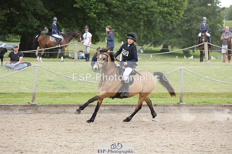 240616-163311-05338 - 80cm 3.30 to End