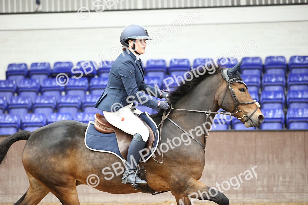 SBM_003661 - Class 12 - Pony Discovery 90cm