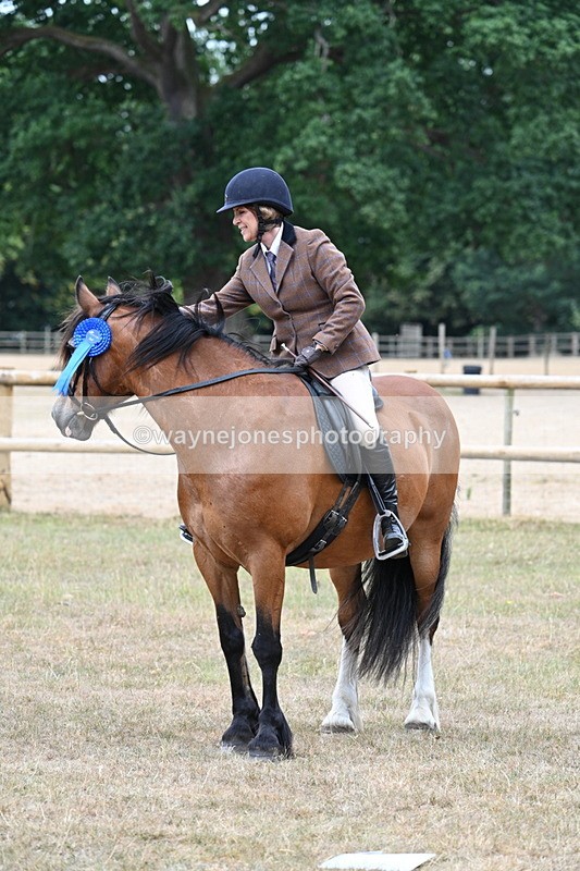 WJ7_0695 - Class 6 Ridden Mountain and Moorland