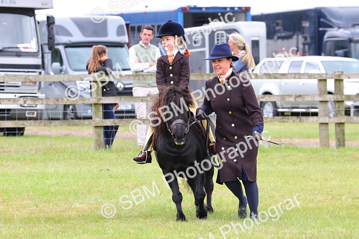SBM_08155 - Class 42-43 - LIHS BSPS Heritage Working Sports Pony