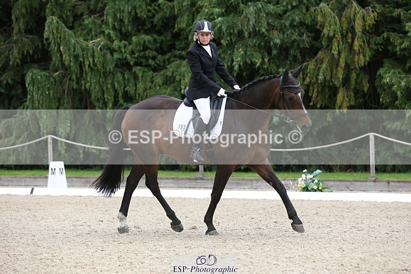 230813-144836-07885 - Cls 11 Elem Bronze 14.30 to End