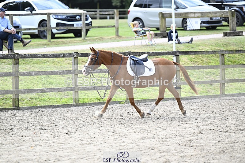 240823X-130453-17389 - 60cm R2 12.30 to 14.40 - All Photos