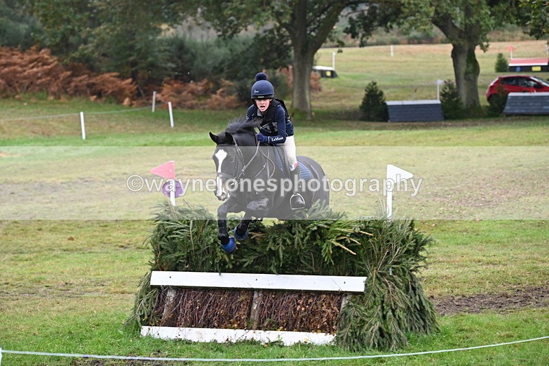 WJ6_2549 - 80cm Cam 1 Time 11:23 to 12:04