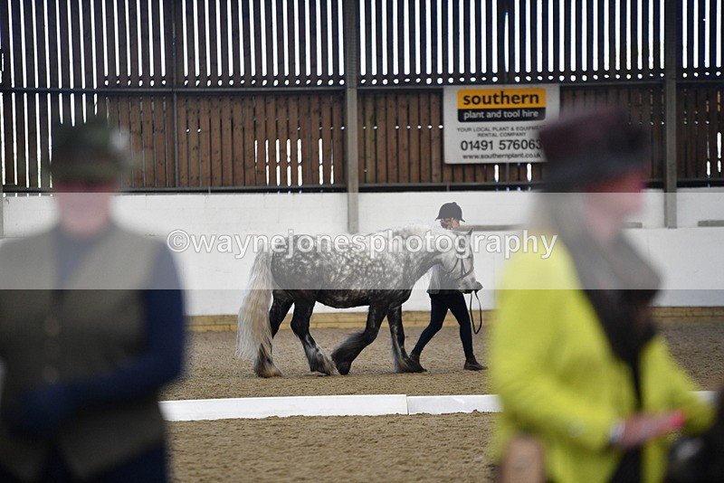WJ5_5541 - Class 8 In hand cob
