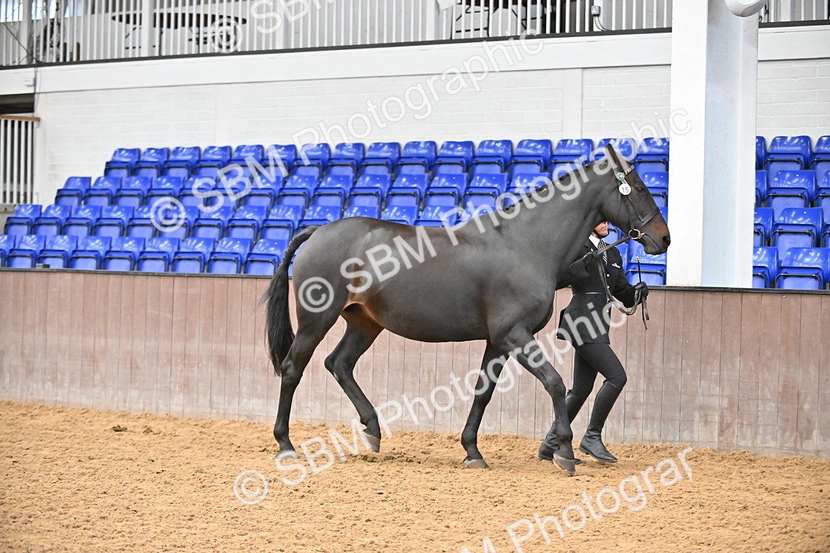 SBM_000683 - Class 11,12,13 - SSADL In Hand Seniors