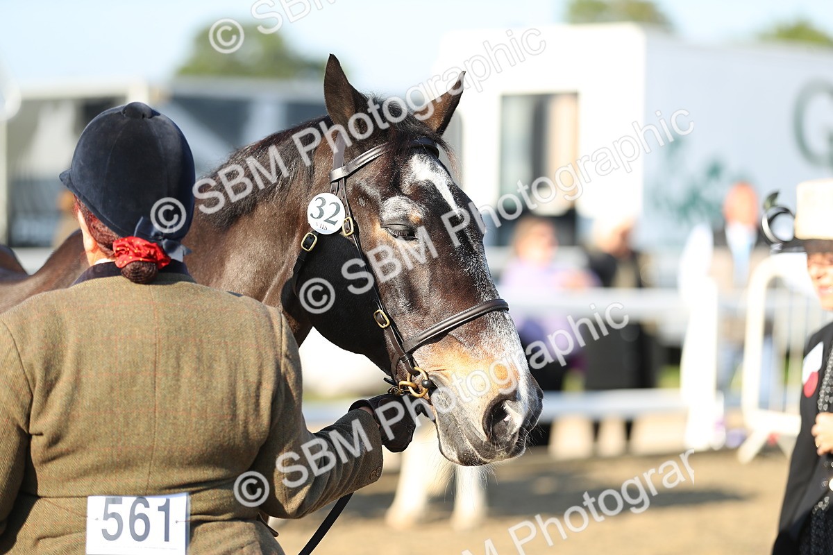 SBM_00024 - Class 40 Best Turned Out IH