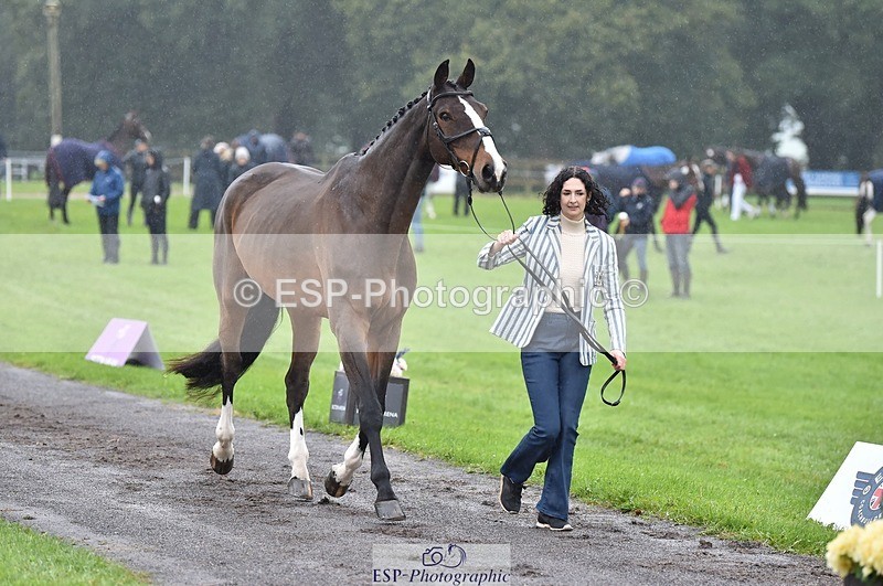 231018-121032-00118 - 013-CRIME.SCENE-Alexandra.Heard-TrotUp