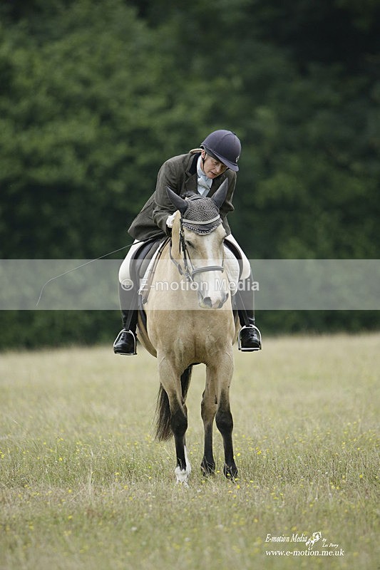 BVRC 030721 489 - Bourne Valley Riding Club Dressage 03/07/21