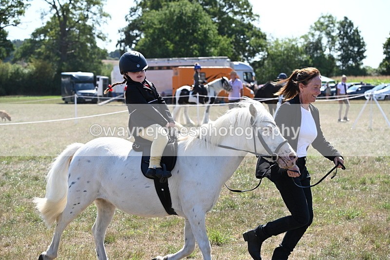 WJ6_7894 - Class 36 Lead Rein