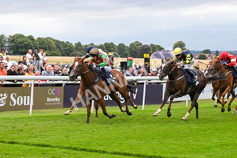 150824-Race 4-Opal Storm-8076 - Race 4