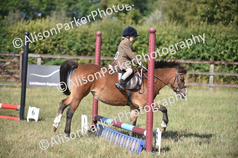 20260906-0992 - Class 7 - Absolute Novice Jumping 35cm