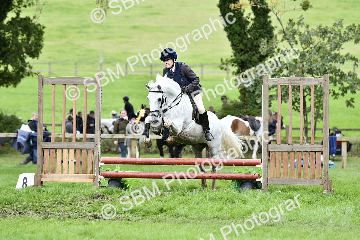SBM_41309 - S32 - Mountain & Moorland Working Hunter Pony